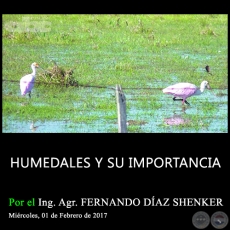 HUMEDALES Y SU IMPORTANCIA - Ing. Agr. FERNANDO DAZ SHENKER - Mircoles, 01 de Febrero de 2017